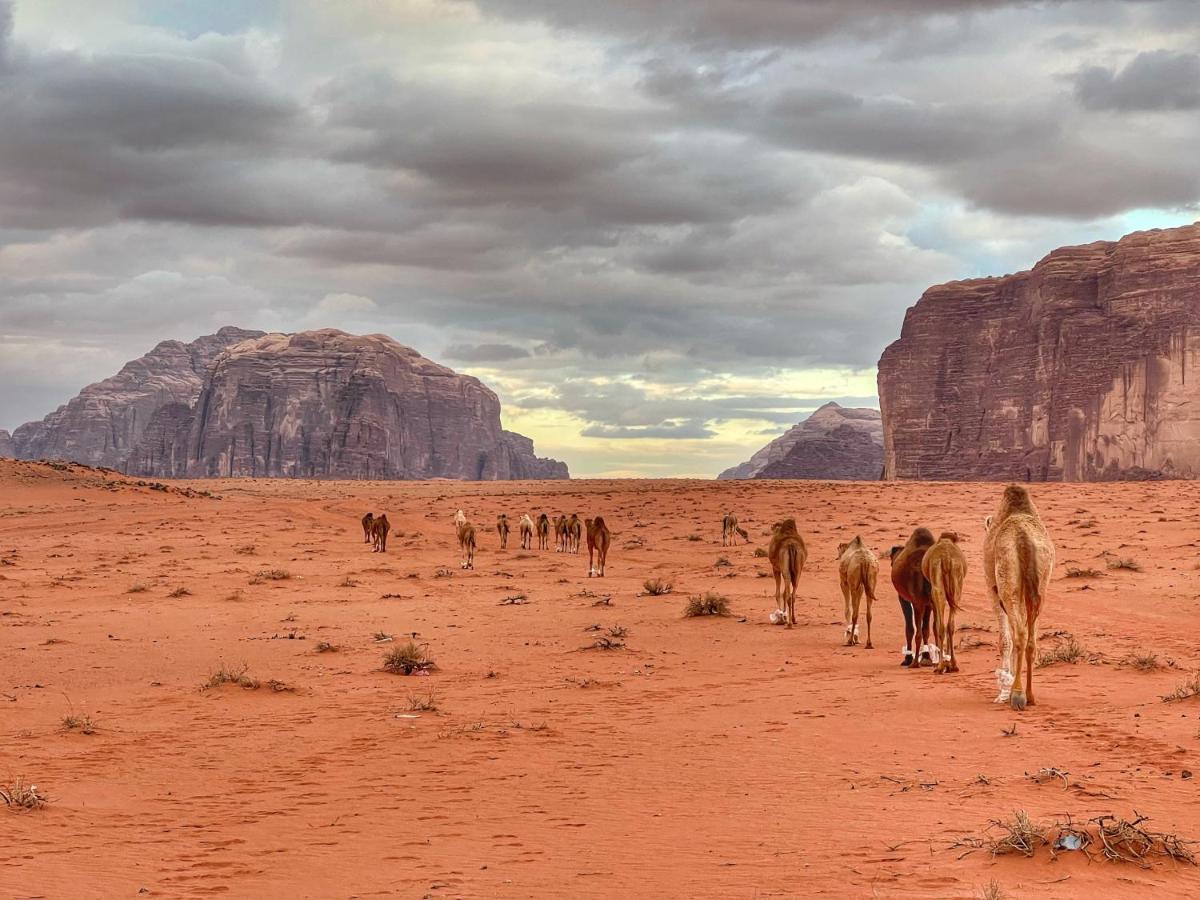 Wadi Rum Bedouin Tour With A Camp Extérieur photo