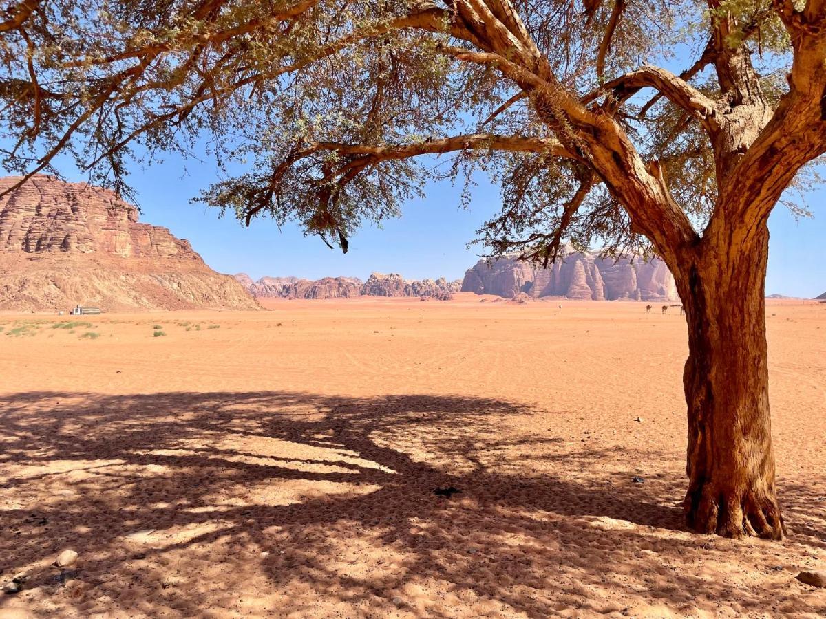 Wadi Rum Bedouin Tour With A Camp Extérieur photo